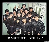 "В МИРЕ ЖИВОТНЫХ." 