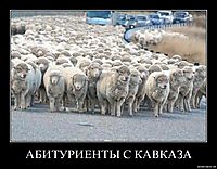 АБИТУРИЕНТЫ С КАВКАЗА 