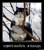 ИДИТЕ НАЙУХ - Я ПАНДА 