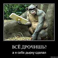 ВСЁ ДРОЧИШЬ? а я себе дырку сделал