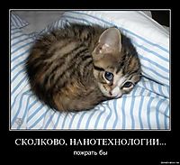 СКОЛКОВО, НАНОТЕХНОЛОГИИ... пожрать бы