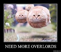 NEED MORE OVERLORDS 