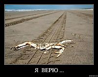 Я  ВЕРЮ ... 