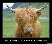 АБИТУРИЕНТ С КАВКАЗА ПРИЕХАЛ 