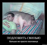 ПОДЛОЖИТЬ СВИНЬЮ больше не просто пословица