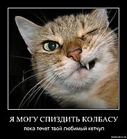 Я МОГУ СПИЗДИТЬ КОЛБАСУ пока течет твой любимый кетчуп