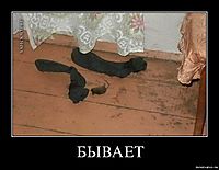БЫВАЕТ 