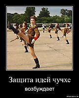 Защита идей чучхе возбуждает