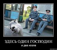 ЗДЕСЬ ОДИН ГОСПОДИН и два козла