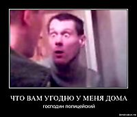 ЧТО ВАМ УГОДНО У МЕНЯ ДОМА господин полицейский