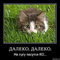ДАЛЕКО, ДАЛЕКО. На лугу пасутся КО...