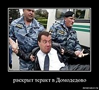 раскрыт теракт в Домодедово 
