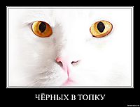 ЧЁРНЫХ В ТОПКУ 