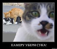 КАМЕРУ УБЕРИ СУКА! 