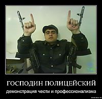 ГОСПОДИН ПОЛИЦЕЙСКИЙ демонстрация чести и профессионализма