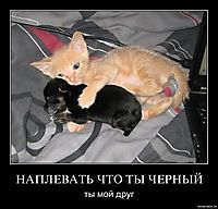НАПЛЕВАТЬ ЧТО ТЫ ЧЕРНЫЙ ты мой друг