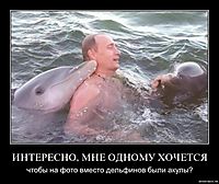 ИНТЕРЕСНО, МНЕ ОДНОМУ ХОЧЕТСЯ чтобы на фото вместо дельфинов были акулы?