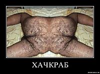 ХАЧКРАБ 