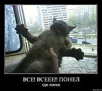 ВСЕ! ВСЕЕЕ!! ПОНЕЛ где латок