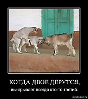 КОГДА ДВОЕ ДЕРУТСЯ,