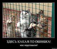 ЗДЕСЬ КАКАЯ-ТО ОШИБКА! нас подставили!