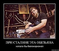 ПРИ СТАЛИНЕ ЭТА ОБЕЗЬЯНА копала бы беломорканал