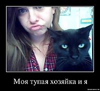 Моя тупая хозяйка и я 