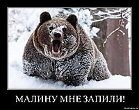 МАЛИНУ МНЕ ЗАПИЛИ! 