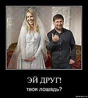 ЭЙ ДРУГ! твоя лошадь?