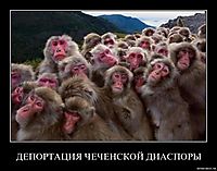 ДЕПОРТАЦИЯ ЧЕЧЕНСКОЙ ДИАСПОРЫ 