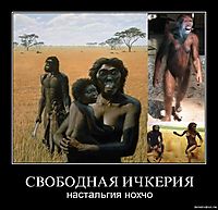 СВОБОДНАЯ ИЧКЕРИЯ настальгия нохчо