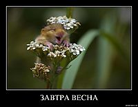 ЗАВТРА ВЕСНА 