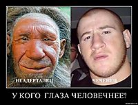 У КОГО  ГЛАЗА ЧЕЛОВЕЧНЕЕ? 