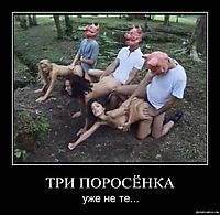 ТРИ ПОРОСЁНКА уже не те...