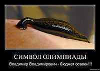 СИМВОЛ ОЛИМПИАДЫ Владимир Владимирович - бюджет освоен!!!