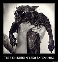 ТЕБЕ ПИЗДЕЦ! Я ТЕБЯ ЗАПОМНИЛ 