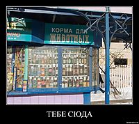 ТЕБЕ СЮДА 