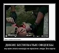 ДИКИЕ БЕСНОВАТЫЕ ОВЦЕЕБЫ. мы вам этого никогда не простим. люди 3го сорта