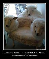 МОЖНО ВЫВЕЗТИ ЧЕЛОВЕКА ИЗ АУЛА но нельзя вывести "аул" из человека