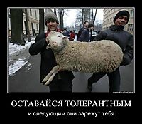 ОСТАВАЙСЯ ТОЛЕРАНТНЫМ и следующим они зарежут тебя
