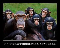 ОДНОКЛАССНИКИ.РУ.Г.МАХАЧКАЛА. 