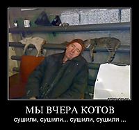 МЫ ВЧЕРА КОТОВ сушили, сушили... сушили, сушили ...