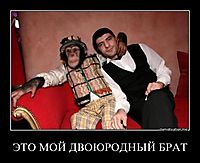 ЭТО МОЙ ДВОЮРОДНЫЙ БРАТ 