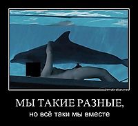 МЫ ТАКИЕ РАЗНЫЕ, но всё таки мы вместе