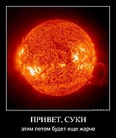 ПРИВЕТ, СУКИ этим летом будет еще жарче