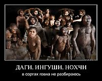 ДАГИ, ИНГУШИ, НОХЧИ в сортах говна не разбираюсь