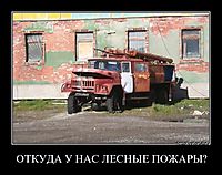 ОТКУДА У НАС ЛЕСНЫЕ ПОЖАРЫ? 
