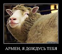 АРМЕН, Я ДОЖДУСЬ ТЕБЯ 