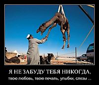 Я НЕ ЗАБУДУ ТЕБЯ НИКОГДА, твою любовь, твою печаль, улыбки, слезы ...