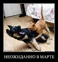НЕОЖИДАННО В МАРТЕ 